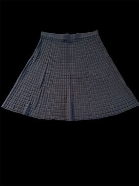 Max Studio Navy Textured Circle Skirt